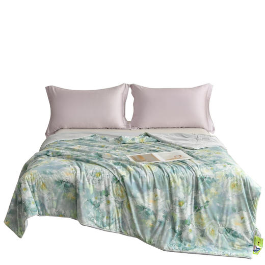 Southlife南方生活 凉感丝夏凉被荷塘月色200*230cm NFWC--08BZ010 商品图4