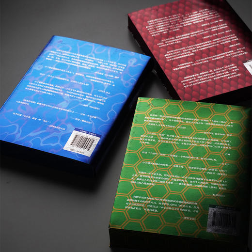 斯蒂格·拉森千禧年三部曲刷边纪念版 龙文身的女孩 直捣蜂窝的女孩 玩火的女孩 等 商品图3