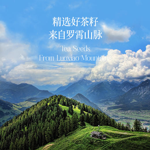 【OMEGA9系列】拍2桶更划算-热炒山茶油2L-会员专享 商品图4