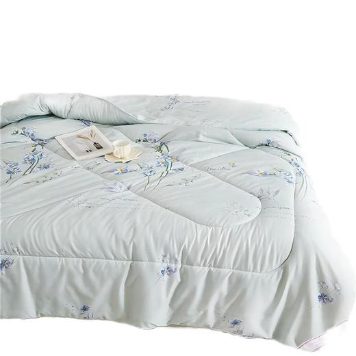 彼加曼 熏衣草大豆暖肤被200*230cm BGM-BX241 商品图0