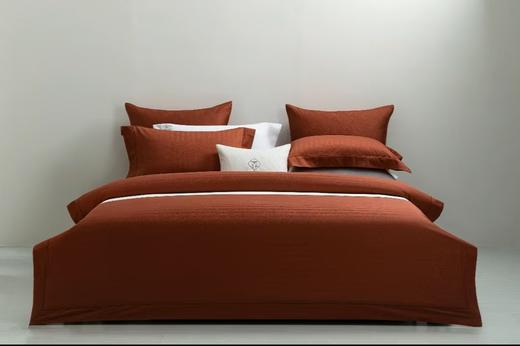 6F堂皇  无界全棉提花四件套 商品图2