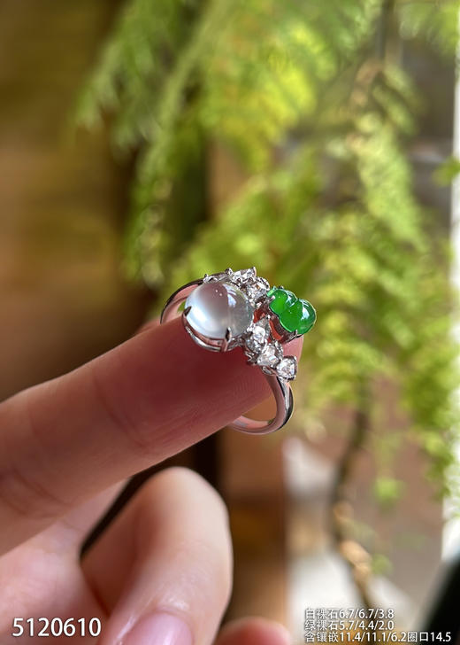 5120610，蛋面戒指。具体价格微信咨询 商品图2