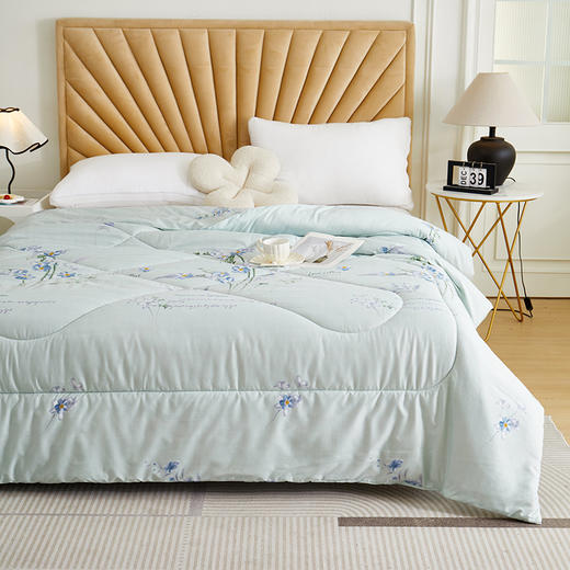 彼加曼 熏衣草大豆暖肤被200*230cm BGM-BX241 商品图4