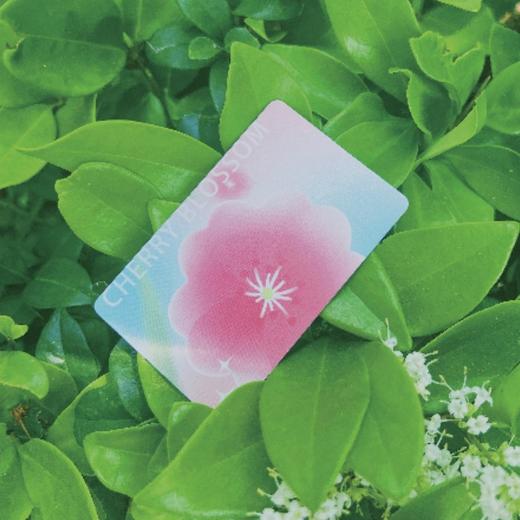 【樱花卡】揣着樱花走，通勤也成小温柔！ 商品图1