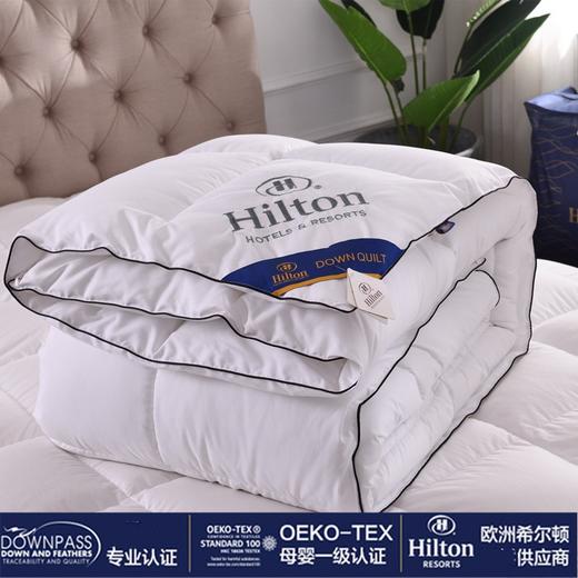 Hilton希尔顿被子星级酒店被子蓬松柔软 盖棉花的体验感 酒店被希尔顿羽丝绒被大豆纤维被春秋冬被加厚被芯新款新品公司团 商品图0