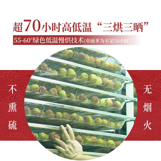 广东增城  荔枝丹（荔枝干）  300g/盒 商品图4