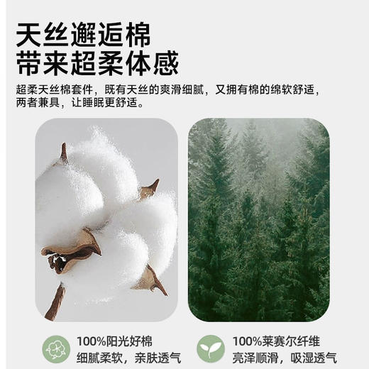 臻品天丝棉磨毛印花四件套(嘉伯丽尔) 商品图1
