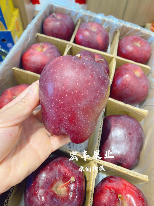 【宏丰精选】 甘肃天水花牛苹果 粉苹果 苹果香甜肉质 口感酥脆 的”红元帅“，零售14.8元一斤 商品图4