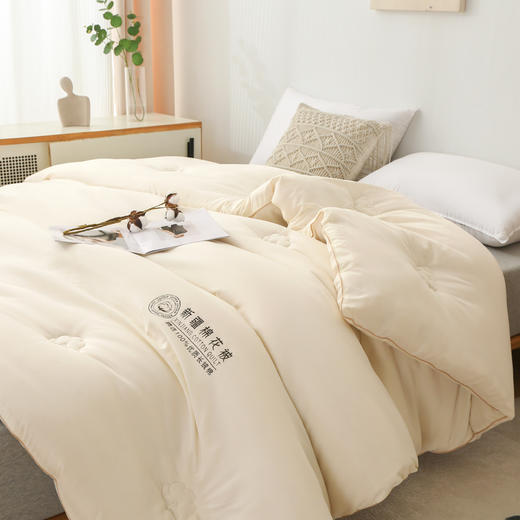 蒙卡罗尼 A类新疆长绒棉四季被-阿克苏200*230cm MKLNAKS 商品图4