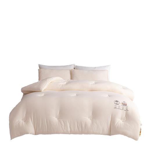 A类李官奇大豆纤维被子母被双人被子加厚冬被宿舍春秋被礼品被 商品图4