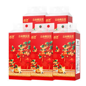 蓝漂 白色气垫挂式抽纸4层1000张*5提 LPBSC-5TR