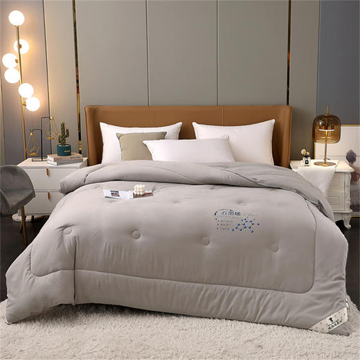 PLOVER啄木鸟 石墨烯能量被200*230cm/2.9KG ZMN-DB003 商品图2