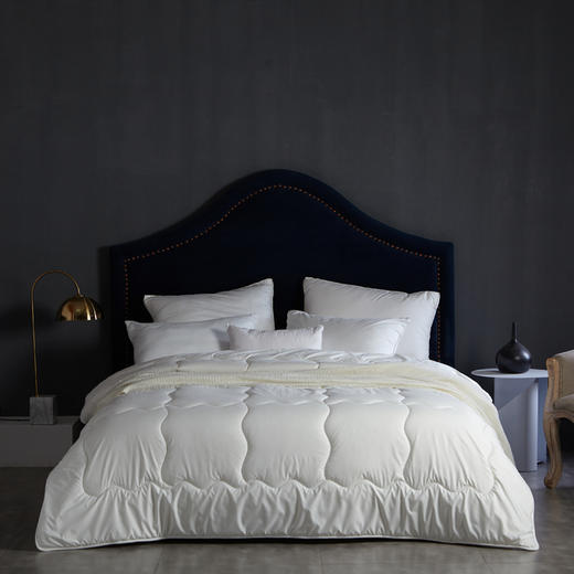 梦洁 新西兰羊毛被四季被 1010200232 商品图0