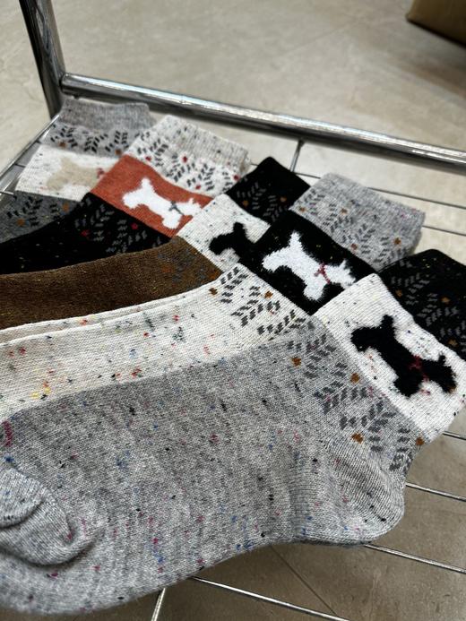 G554秋冬搭配❗️费尔岛围脖小狗袜中筒袜5双装 商品图1