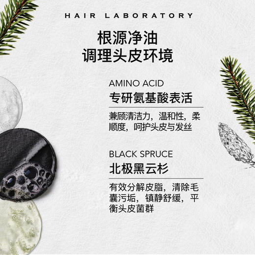英国Hair Laboratory 黑云杉控油洗发水高颅顶氨基酸无硅洗发水 商品图4