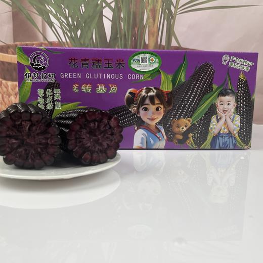 25年头茬玉米！有机黑糯玉米米 原生态有机种植甜糯玉米220g大穗 满口花青素 3小时锁住新鲜 真空包装 商品图6