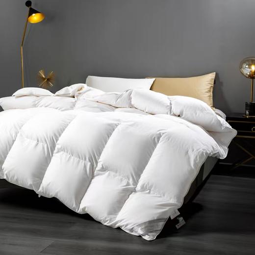 彼加曼 希伯莱尊贵羽绒被200*230cm BGM-B9216 商品图0