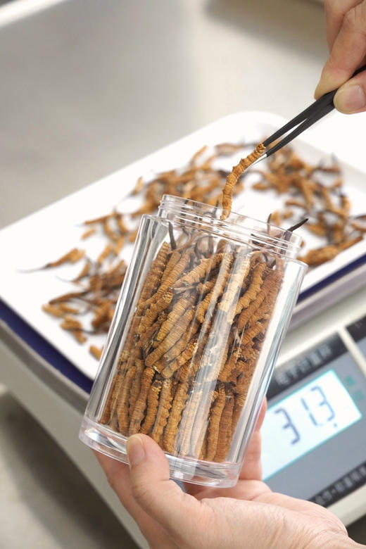 断草王 商品图2