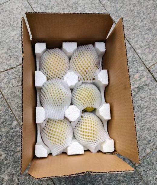 心选丨赵县古树雪花梨树上熟 9.8斤（10-12枚 单果6两左右） 商品图2