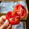 钱袋番茄（一箱3.5斤） 商品缩略图4