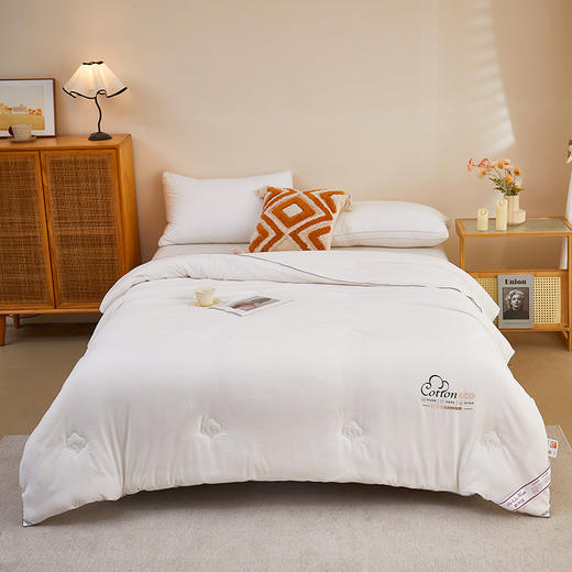 彼加曼 小豆棉云柔棉花被200*230cm BGM-BX257 商品图3