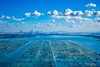 【公蟹正当到道！鲜！】70%淘汰率只选精品阳澄湖大闸蟹口感肥美黄肥膏白蟹黄鲜香99%的人没有吃过的正宗阳澄湖大闸蟹6/8/10母肥美大闸蟹组合任选! 商品缩略图3
