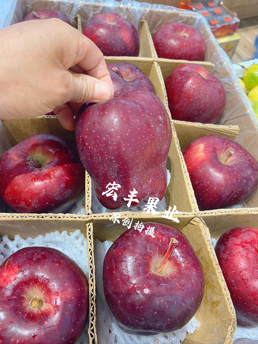 【宏丰精选】 甘肃天水花牛苹果 粉苹果 苹果香甜肉质 口感酥脆 的”红元帅“，零售14.8元一斤 商品图2