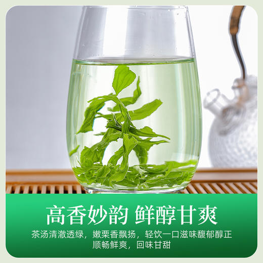 信阳绿茶毛尖茶叶高山云雾茶浓香型茶叶 自饮装 CM 商品图3