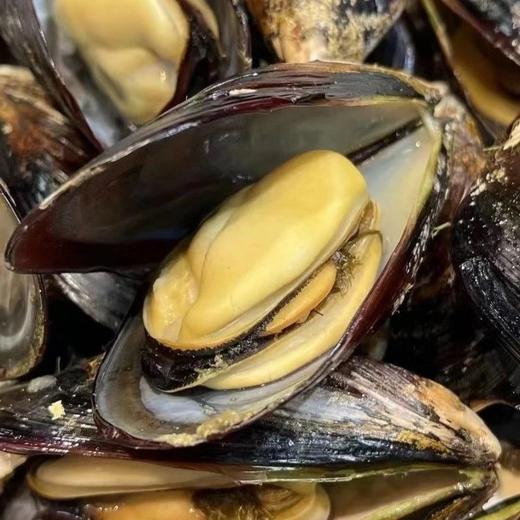 【顺丰包邮】【包鲜不包活】舟山枸杞岛野生贻贝 包鲜不包活 特有品种野生捕捞 素有海洋鸡蛋的美誉 顺丰基地直邮 商品图0