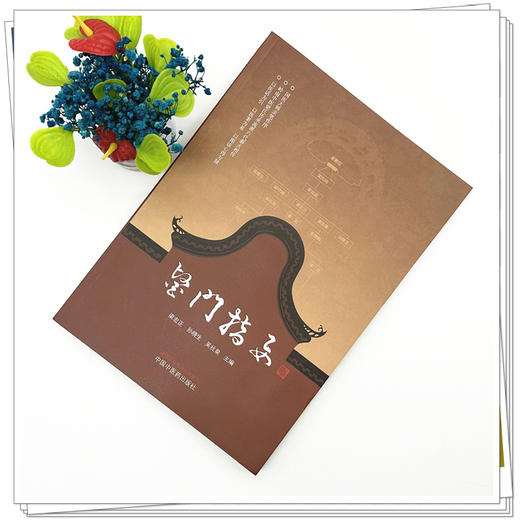 医门指要 梁宏正 孙晓生 吴社泉 主编 中国中医药出版社 黄帝内经 金匮要略 临床医案 医话 书籍 商品图1