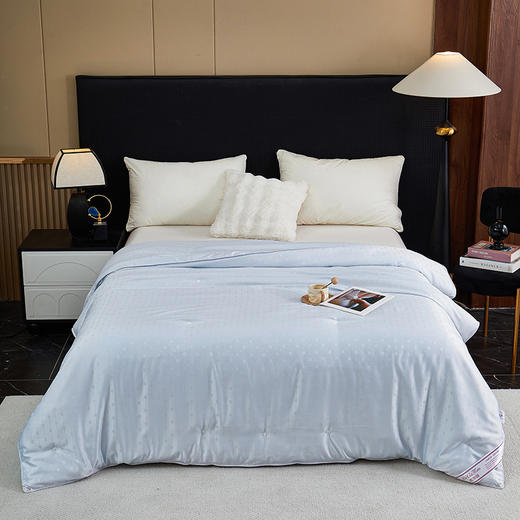 彼加曼 维罗纳银丝提花蚕丝被200*230cm BGM-B2561 商品图3