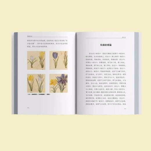 《黄帝外经》（上下全2册）赠《中草药配对与禁忌》导图。 商品图2