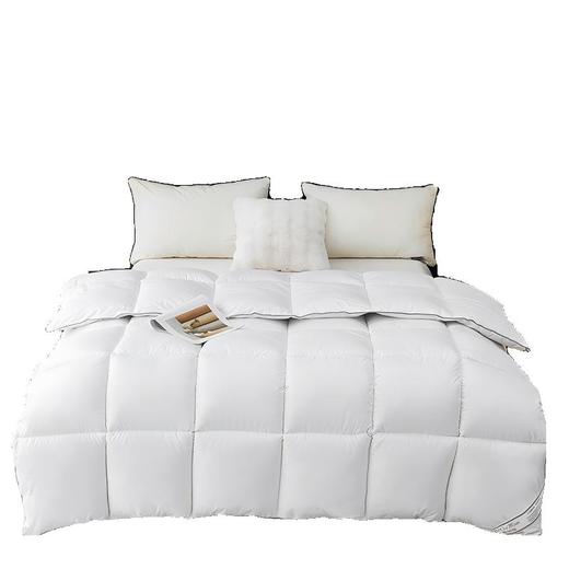 彼加曼 冰岛纳米锁暖羽丝绒被200*230cm BGM-B2557 商品图0