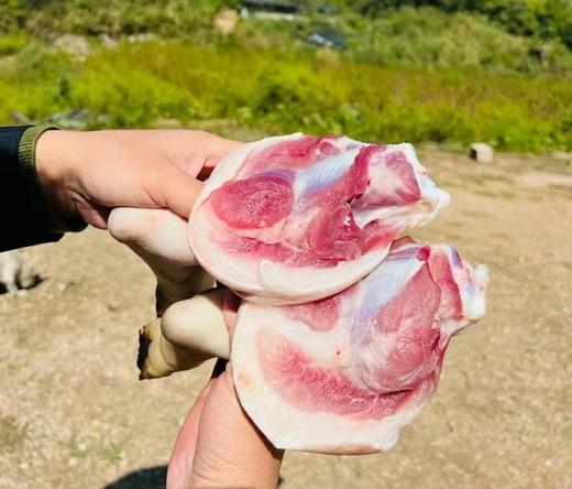 顺丰2斤到手89.9，有机藏香猪 没有经过人工改良的古老畜牧种 高原自然散养 肉质紧实 无腥味膻味 有精美大理石雪花纹理 基地直邮 商品图2