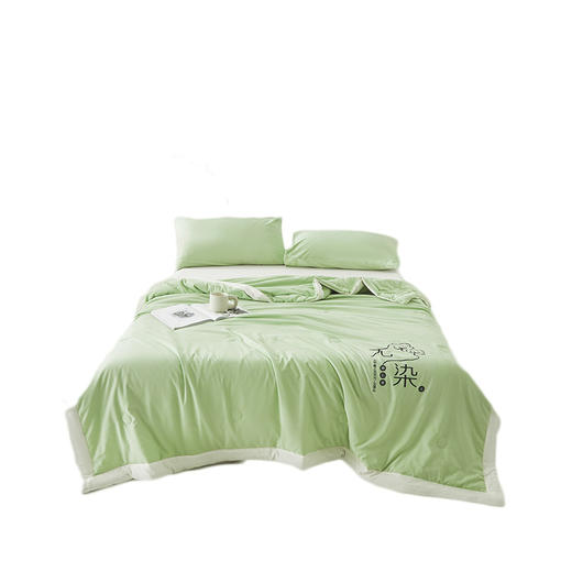 俞兆林 A类无染棉花夏被2米果绿 YZL-24029 商品图0