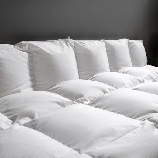 彼加曼 希伯莱尊贵羽绒被200*230cm BGM-B9216 商品图2