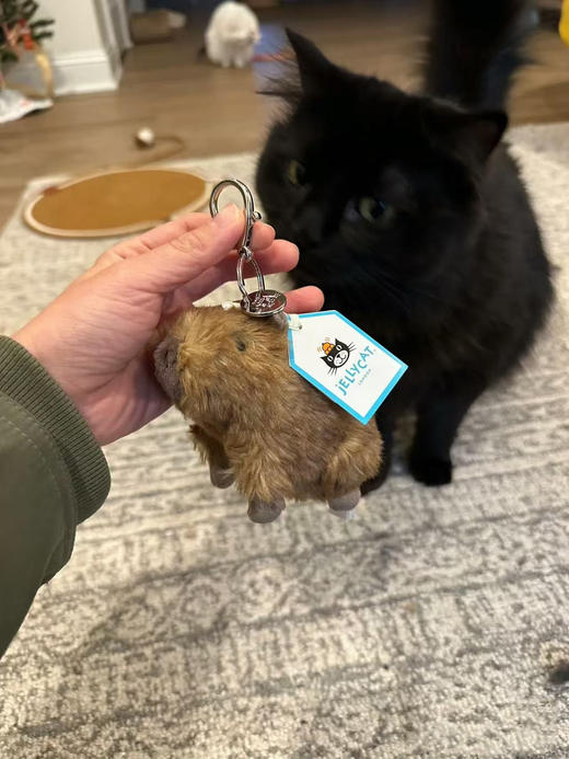 不要太可爱！jellycat卡皮巴拉挂件来啦！ 商品图5