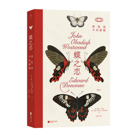 蝶之恋 博物画中的蝴蝶 绘画设计参考 自然艺术科普收藏书籍 后浪正版 商品图1