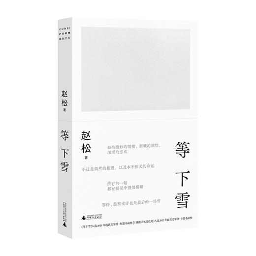 等下雪 赵松/著 赵松、收获文学榜、抚顺故事集、你们去荒野、积木书、广西师范大学出版社 商品图2