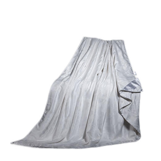 俞兆林 贡缎蚕丝四季被2米 YZL-24112 商品图0