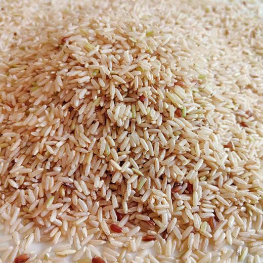 糙米 5斤装包邮   自然农耕 健康粗粮 商品图1