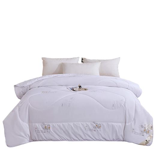 PLOVER啄木鸟 新款羊毛被200*230cm/2.9KG ZMN-DB008 商品图0