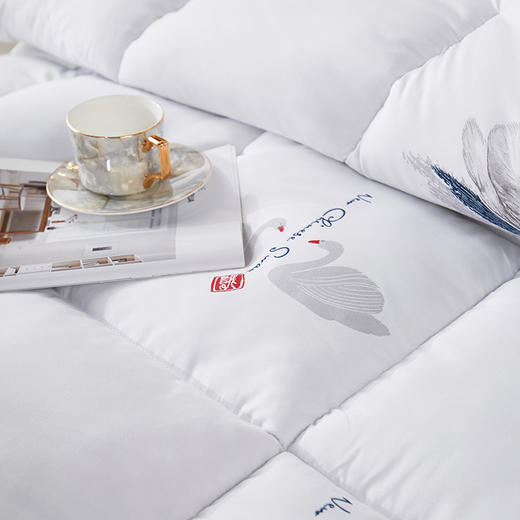 彼加曼 卡西亚赛鹅绒被200*230cm BGM-B2328 商品图2