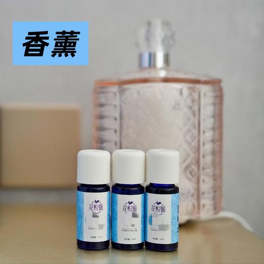 【香薰沙龙】合集扩香环境香气线上咨询线下沙龙 商品图0