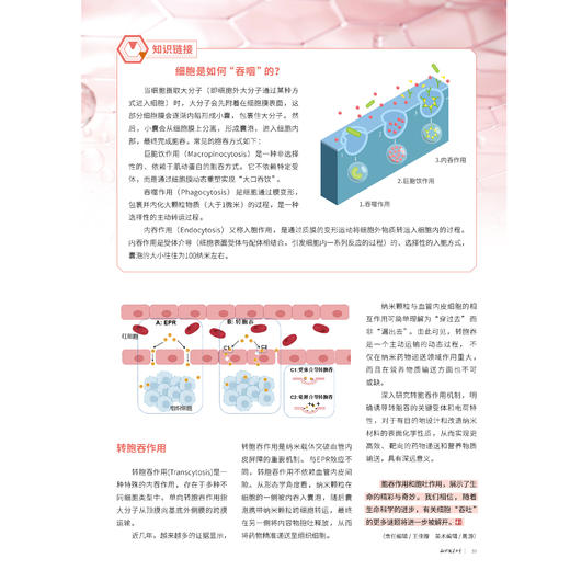 《知识就是力量》12期征订（共12本） 商品图13