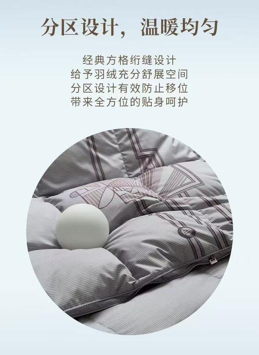 【富安娜】B座7FA类西伯利亚进口羽绒被系列/哈德逊（送2000元线下无门槛券！） 商品图4