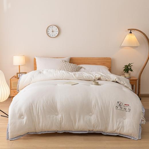 PLOVER啄木鸟 泡泡纱豆豆被200*230cm/2.9KG ZMN-DB006 商品图3