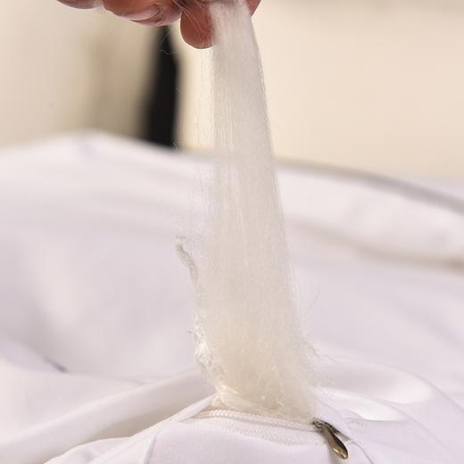 希尔顿酒店棉被蚕丝棉空调被春秋被加厚冬被被芯民宿礼品被子新款新品 商品图2