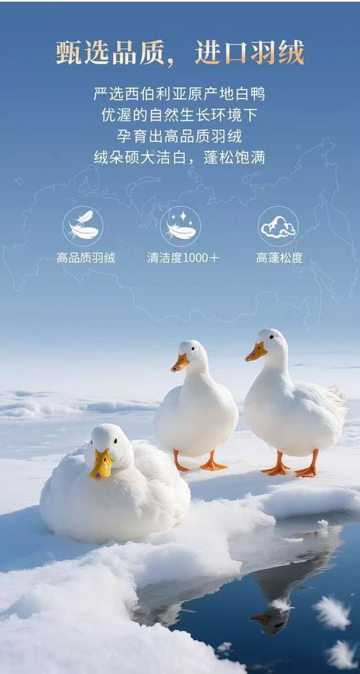 【富安娜】B座7FA类西伯利亚进口羽绒被系列/哈德逊（送2000元线下无门槛券！） 商品图2