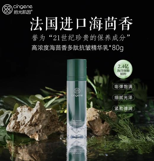 【海茴香系列】海茴香全家福5件套 商品图3
